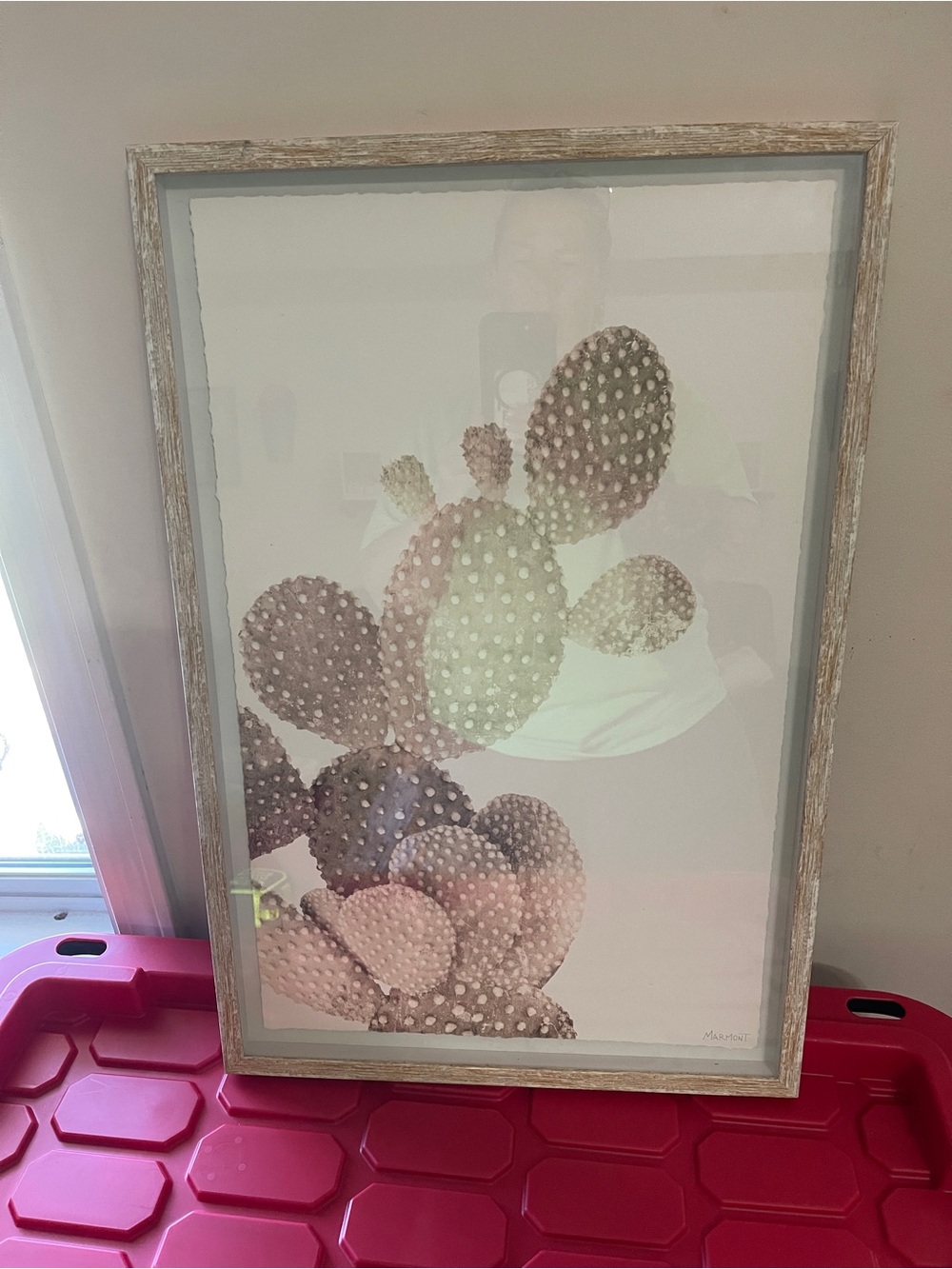 Source Unknown Pink and Cream Cactus Framed Art